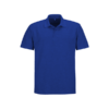 Plain Golf Shirt - Royal